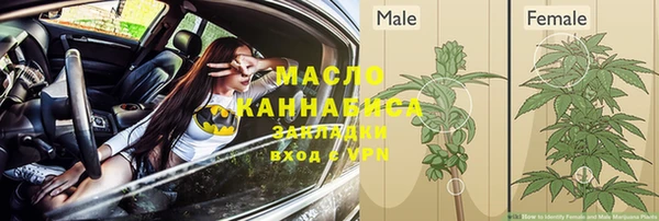 Альфа ПВП Бородино