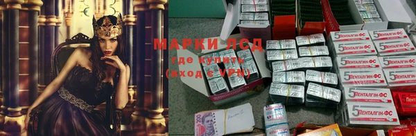 Альфа ПВП Бородино