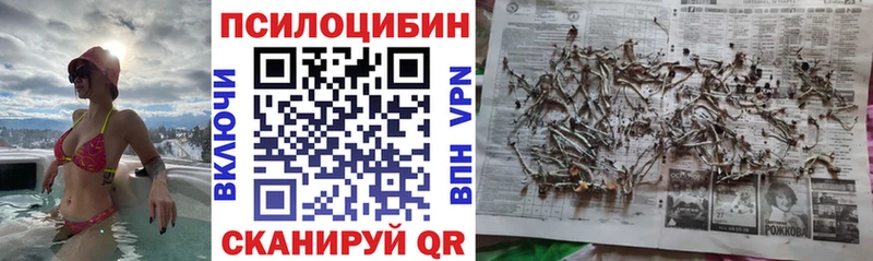 Псилоцибиновые грибы мухоморы  Купить  Лысково 